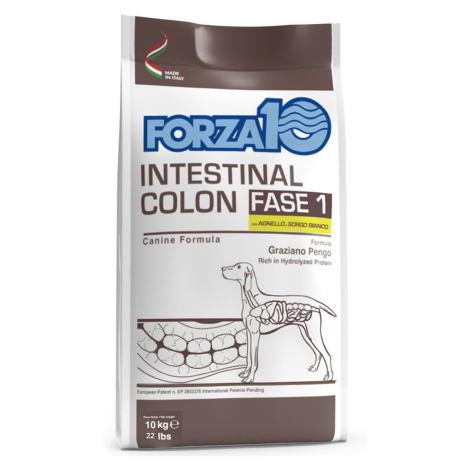 Forza 10 Intestinal Colon Phase 1 s jehněčím - výhodné balení: 2 x 10 kg Forza10 Maintenance Dog