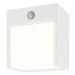 LED venkovní světlo Rabalux, 4000K, 560lm, senzor, bílá