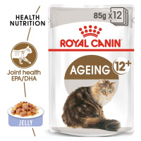 ROYAL CANIN AGEING 12+ pro kočky 48 × 85 g