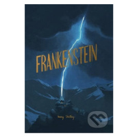 Frankenstein - Mary Shelley - kniha z kategorie Pro děti