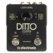 TC Electronic Ditto X2 Looper (rozbalené)