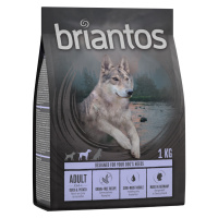 Briantos Adult kachní s bramborami - bez obilovin - 4 x 1 kg