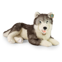 RAPPA - Plyšový pes husky ležící 60 cm ECO-FRIENDLY