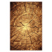 Kusový koberec Gold 267-12 - 300 x 400