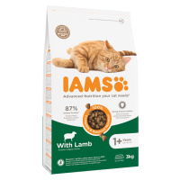 IAMS granule, 2,7 / 3 kg za skvělou cenu - Vitality Adult Lamb (3 kg)