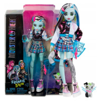 Monster High Panenka Základní Frankie Stein Frankenstein Příslušenství 4+