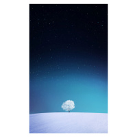 Fotografie Apple, Bess Hamiti, 24.5 × 40 cm