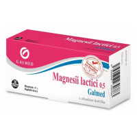 Magnesii lactici 0.5g 50 tablet Galmed