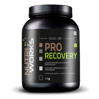 NutriWorks Pro Recovery 1kg