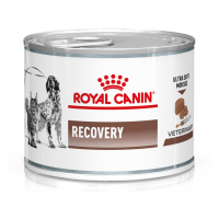 Royal Canin Veterinary Canine Recovery Mousse - 24 x 195 g