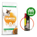 IAMS Dog Adult Small & Medium Lamb 12 kg