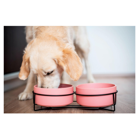Vsepropejska Doris dvojitá keramická miska pro psa či kočku Barva: Růžová, Rozměr (cm): 12