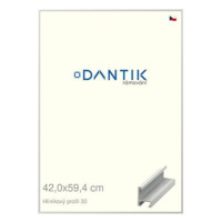 DANTIK rámeček 42 × 59,4, ALU profil 6030 Bílý matný plexi čiré