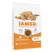 IAMS Cat Adult Chicken 10 kg