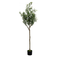KARE Design Dekorativní rostlina Olive Tree 150cm