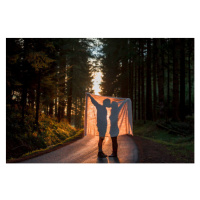 Fotografie Silhouette of couple holding blanket kissing, Westend61, 40 × 26.7 cm