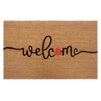 Hanse Home Collection koberce Rohožka Welcome 105675 - na ven i na doma - 45x75 cm