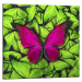 Obraz Styler Glasspik Green Butterfly, 20 x 20 cm