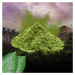 Kratom Natural Green (zelený) - prášek z listů gramáž: 25g