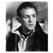 Fotografie Marlon Brando In 'On The Waterfront', Archive Photos, 33.8 × 40 cm