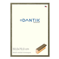 DANTIK rámeček 50 × 70, Metalli oidati champagne plexi čiré