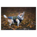 Vsepropejska Fogy stylová bunda pro psa Barva: Zelená, Délka zad (cm): 53, Obvod hrudníku: 68 - 