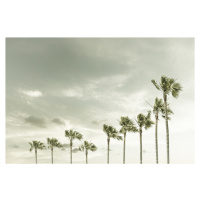 Umělecká fotografie Vintage Palm Trees at the beach, Melanie Viola, (40 x 26.7 cm)
