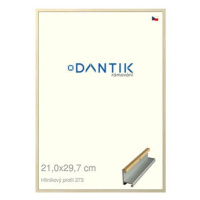 DANTIK rámeček 21 × 29,7, ALU profil 7273 Dýha javor sklo čiré