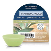 YANKEE CANDLE Sage & Citrus 22 g