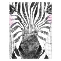 Dekorace do dětského pokoje - Obraz zebra