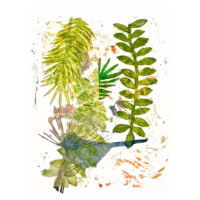 Obrazová reprodukce Botanical jungle, Thompson-Engels, Sarah, 30 × 40 cm