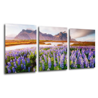 Impresi Obraz Horská krajina s květinami - 150 x 70 cm (3 dílný)