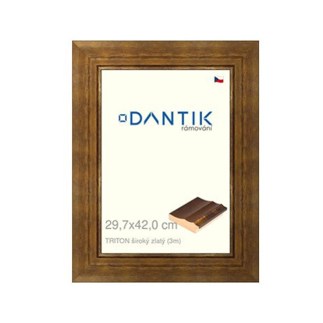 DANTIK rámeček 29,7 × 42, TRITON široký zlatý plexi čiré