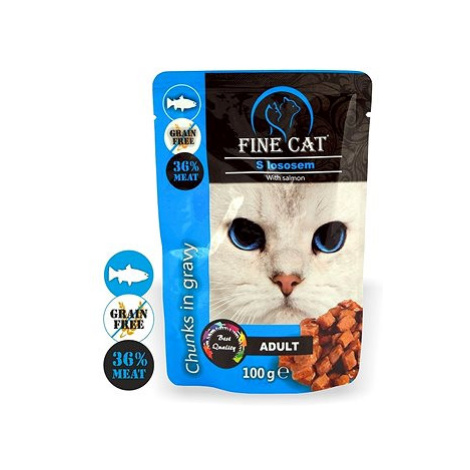 Fine Cat kapsička grain - free adult losos v omáčce 22 × 100 g