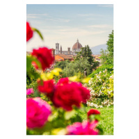 Fotografie Florence, Tuscany, Italy. Roses and cityscape, Francesco Riccardo Iacomino, 26.7 × 40