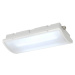 SLV BIG WHITE P-LIGHT, stropní svítidlo, LED, 6000K, IP65, obdélníkové, bílé, 6,5 W 240004