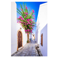 Fotografie Rhodes, Greece. Beautiful narrow street in, emicristea, 26.7 × 40 cm