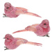 Ptáček s klipem, růžová, 10 x 4 x 4 cm, sada 3 ks