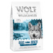 Wolf of Wilderness Mini „Blue River“ – losos 5 x 1 kg