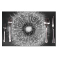 Prostírání Černobílá pampeliška: 40x30cm