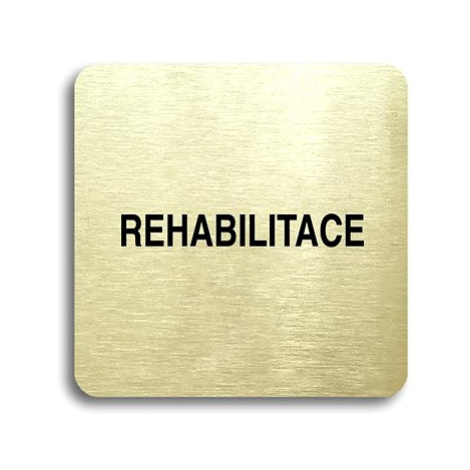 Accept Piktogram "rehabilitace" (80 × 80 mm) (zlatá tabulka - černý tisk bez rámečku)