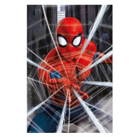 Marvel - Spiderman - Web - plakát