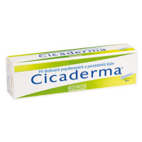 CICADERMA UNG 30G