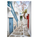 Fotografie Small alley with white Cycladic houses, imageBROKER/Mara Brandl, 26.7 × 40 cm