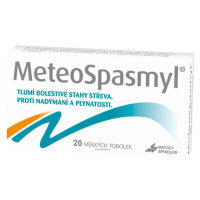 METEOSPASMYL 60MG/300MG CPS MOL 20