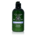 L'OCCITANE Gentle & Balance Conditioner 250 ml