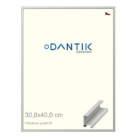 DANTIK rámeček 30 × 40, ALU profil 6001 Stříbrný matný plexi čiré