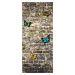 FTN V 2905 Vliesová fototapeta dveřní Butterfly on the wall, velikost 90 x 202 cm