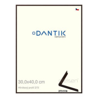 DANTIK rámeček 30 × 40, ALU profil 7273 Dýha wenge tmavý plexi čiré