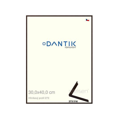 DANTIK rámeček 30 × 40, ALU profil 7273 Dýha wenge tmavý plexi čiré